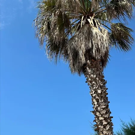 Dom wakacyjny The Beachside Coquette