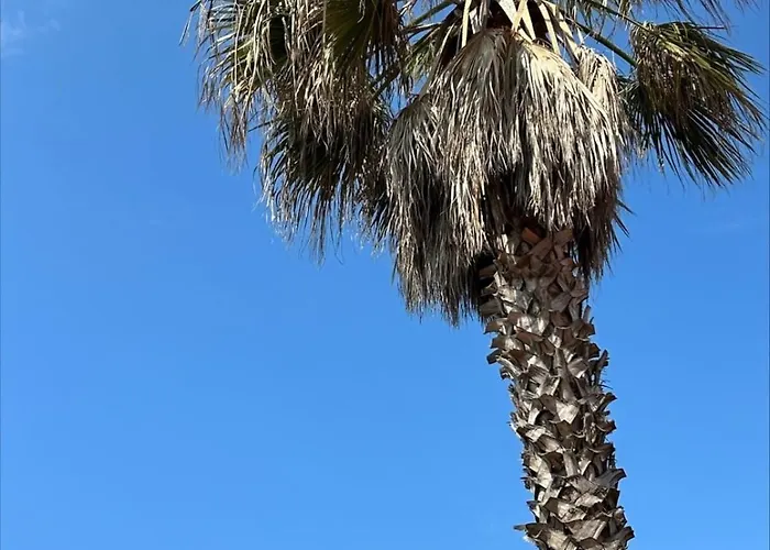 Dom wakacyjny The Beachside Coquette