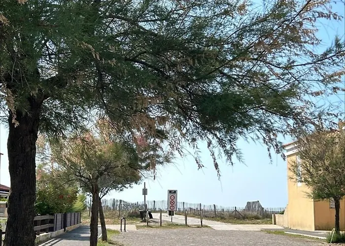 The Beachside Coquette